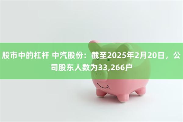 股市中的杠杆 中汽股份：截至2025年2月20日，公司股东人数为33,266户
