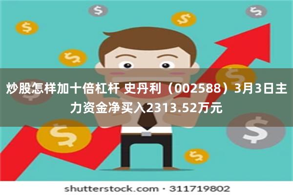 炒股怎样加十倍杠杆 史丹利（002588）3月3日主力资金净买入2313.52万元